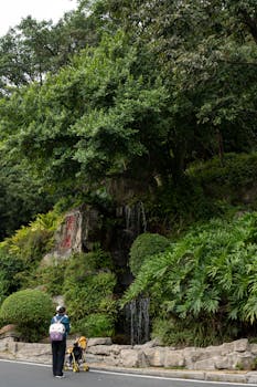 广东博力威科技股份有限公司2025年度业绩快报公告