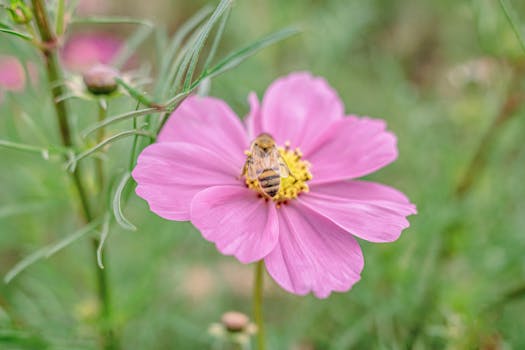  从大模型内卷到AI向实转型；资本市场如何更好助力重资产科技企业长远布局。 企业服务
