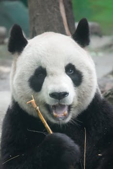  特朗普严正警告伊朗勿霍尔木兹布雷；白宫澄清未实施护航行动。 新闻 特朗普严正警告伊朗勿霍尔木兹布雷；白宫澄清未实施护航行动。 新闻