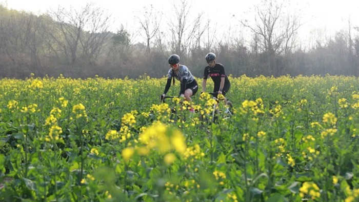  春季旅游新风口：春假叠加假期，如何抓住家庭出游红利？ 文化旅游