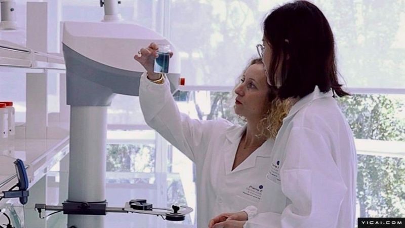  精准产业定位：全球顶尖制造在沪的战略深耕 企业服务