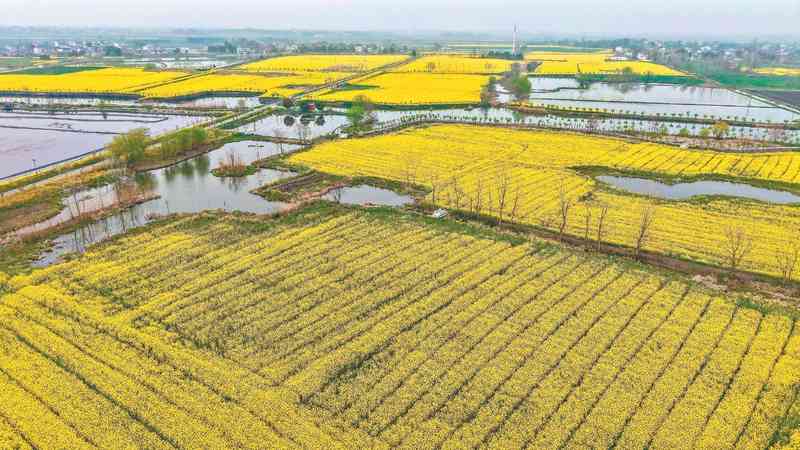 【春季小众打卡攻略】含山凌家滩大渔滩一日游路线图 文化旅游