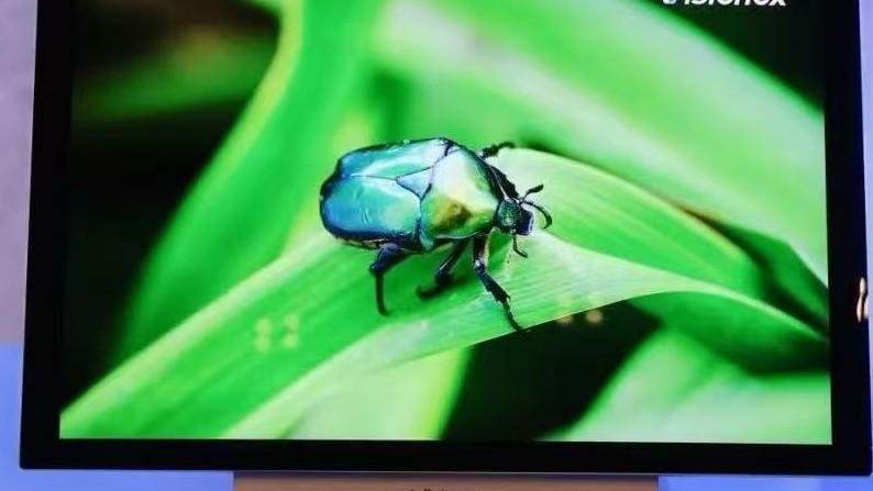  【深度拆解】港股科技板块估值扩张底层逻辑：三大投资主线与DeepSeek-V4催化效应 股票财经