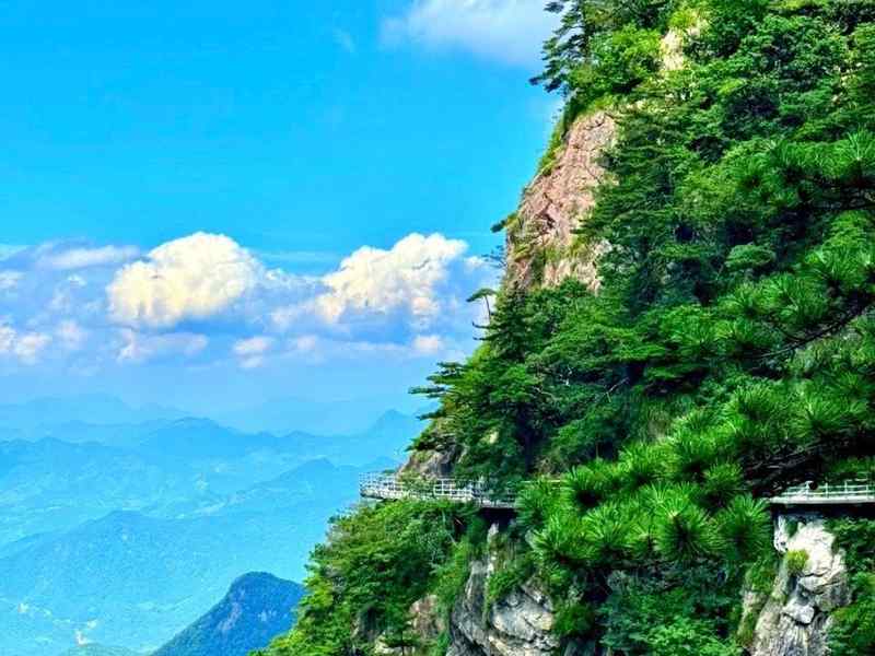 从细节到财富：属鸡人4月下旬的财务效率跃升机制