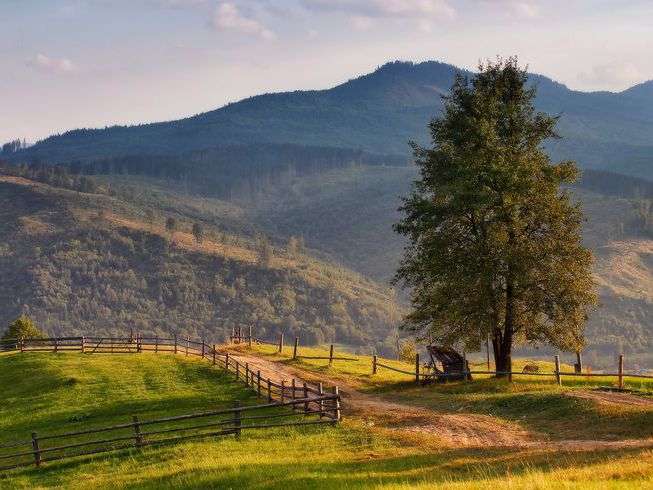  从细节到财富：属鸡人4月下旬的财务效率跃升机制 新闻