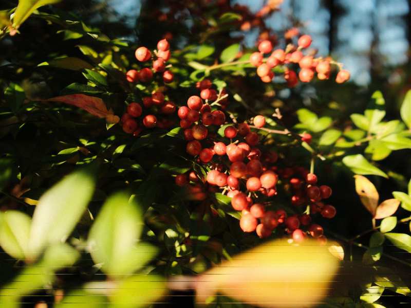  从细节到财富：属鸡人4月下旬的财务效率跃升机制 新闻