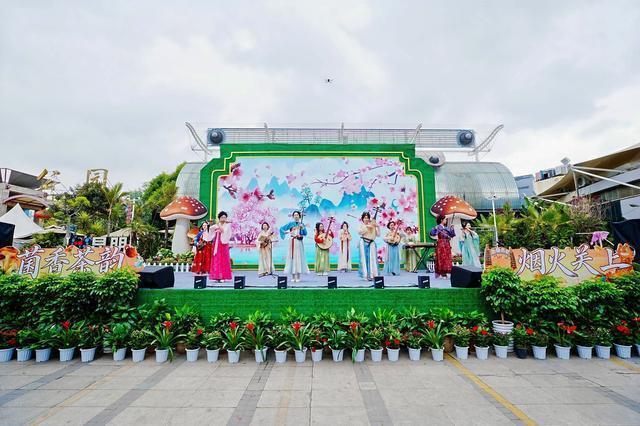  【深度复盘】昆明野生菌美食文化特色街区：四个月焕新背后的规划逻辑与运营方法论 文化旅游