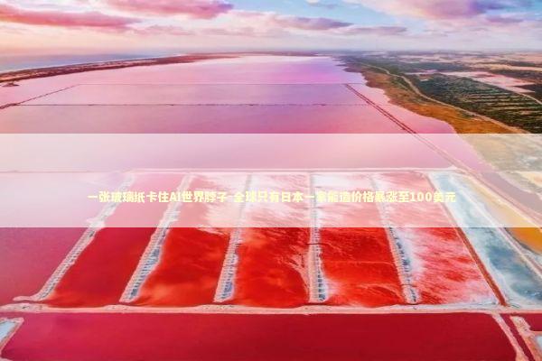 一张玻璃纸卡住AI世界脖子-全球只有日本一家能造价格暴涨至100美元