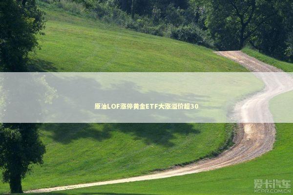 原油LOF涨停黄金ETF大涨溢价超30