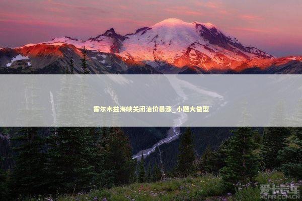 霍尔木兹海峡关闭油价暴涨_小题大做型