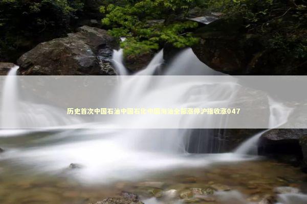 历史首次中国石油中国石化中国海油全部涨停沪指收涨047 历史首次中国石油中国石化中国海油全部涨停沪指收涨047 新闻
