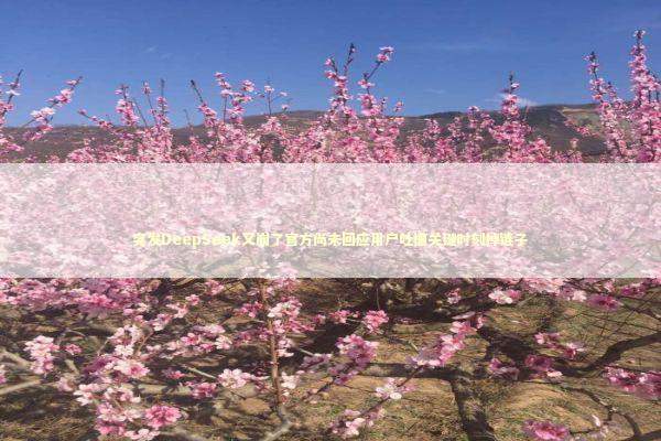 突发DeepSeek又崩了官方尚未回应用户吐槽关键时刻掉链子