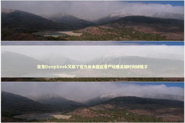 突发DeepSeek又崩了官方尚未回应用户吐槽关键时刻掉链子