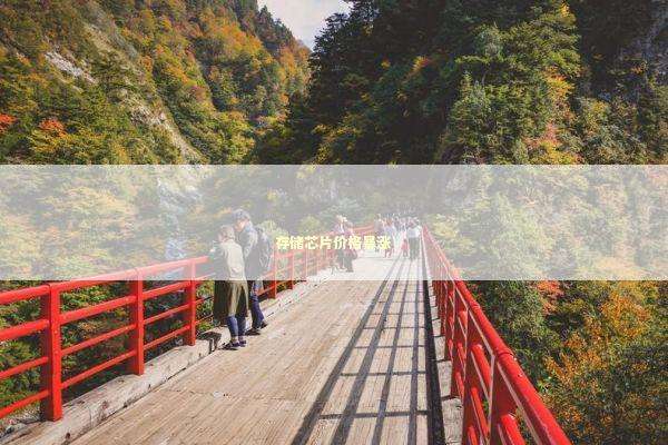 存储芯片价格暴涨