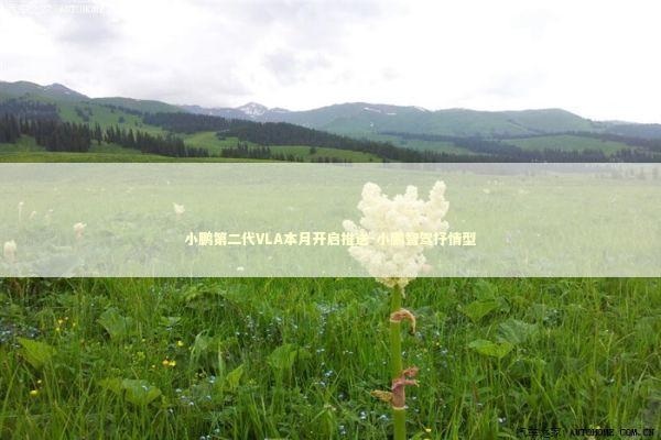 小鹏第二代VLA本月开启推送-小鹏智驾抒情型