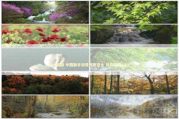 Visa调研 中国数字消费领跑亚太 月均网购23次