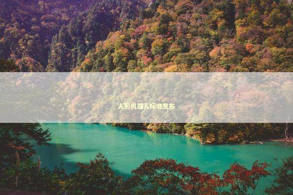 人形机器人标准发布