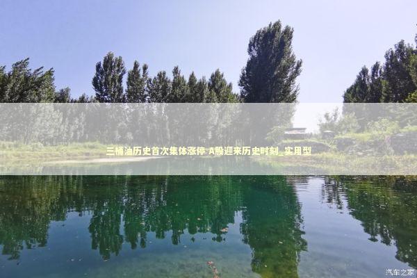 三桶油历史首次集体涨停 A股迎来历史时刻_实用型