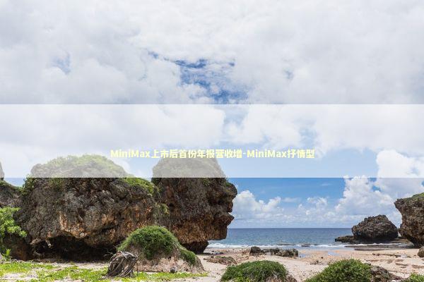 MiniMax上市后首份年报营收增-MiniMax抒情型