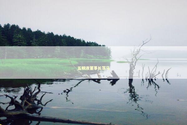 五粮液董事长落马