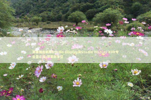 苹果推出新款Studio Display及Studio Display XDR专业显示器-苹果叙事型