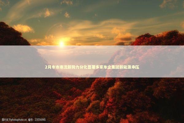 2月车市寒流新势力分化显著多家车企集团新能源承压