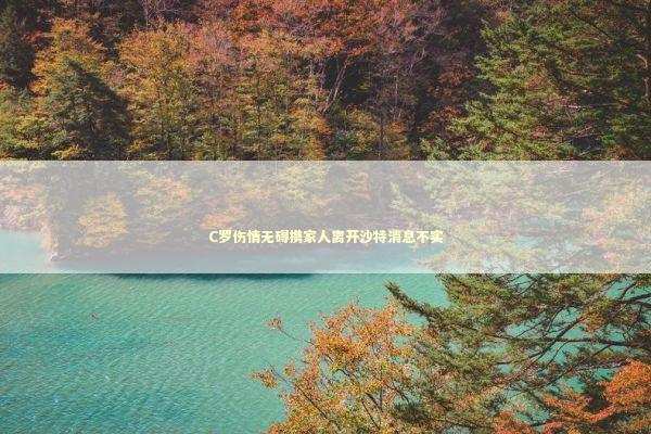 C罗伤情无碍携家人离开沙特消息不实