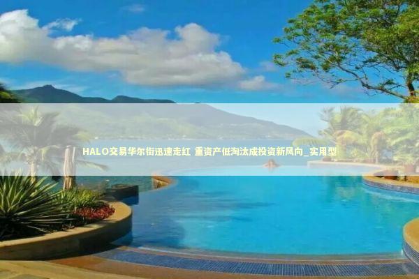 HALO交易华尔街迅速走红 重资产低淘汰成投资新风向_实用型