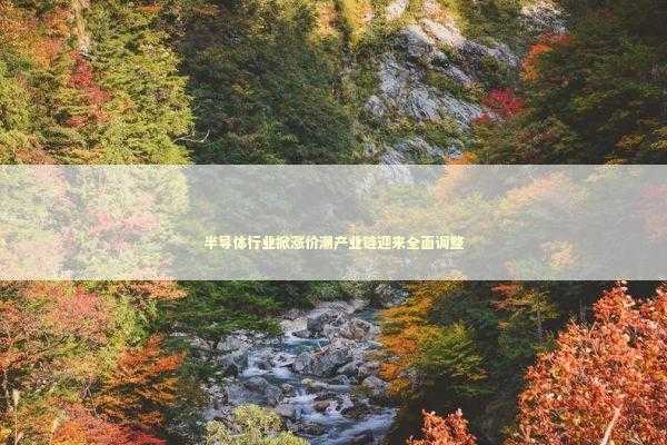 半导体行业掀涨价潮产业链迎来全面调整