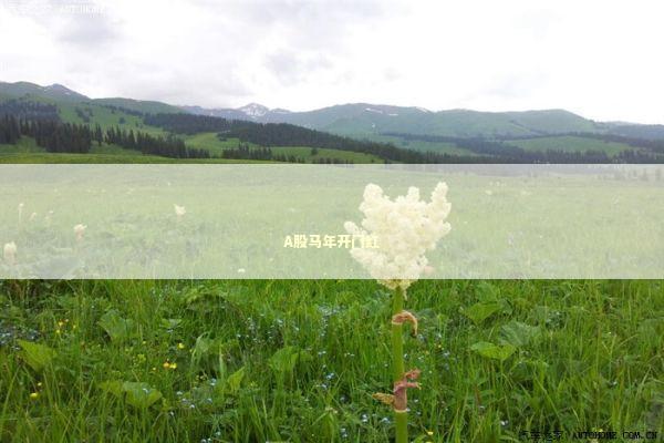 A股马年开门红