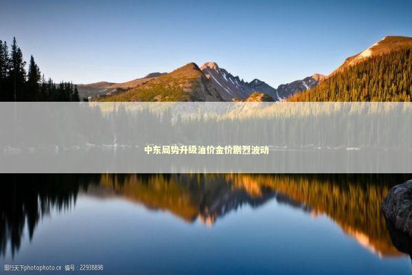 中东局势升级油价金价剧烈波动 中东局势升级油价金价剧烈波动 新闻