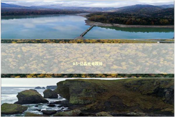 03-亿晶光电跌停