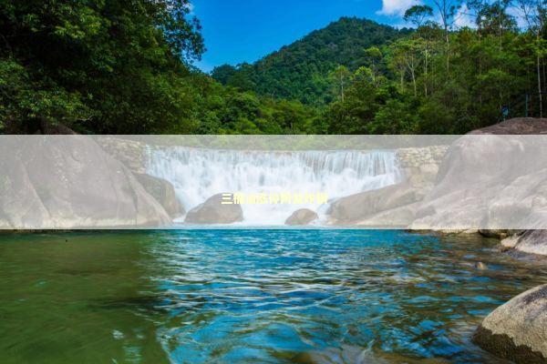 三桶油涨停网友炸锅