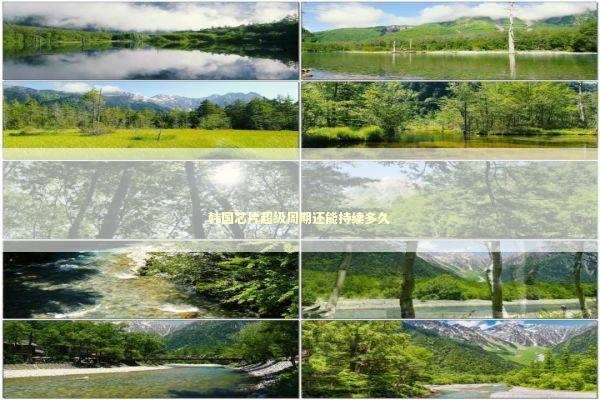 韩国芯片超级周期还能持续多久