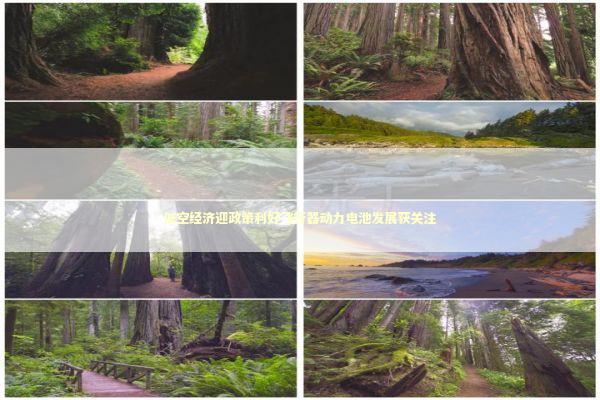 低空经济迎政策利好飞行器动力电池发展获关注