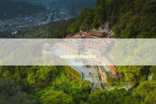 A股回调银行股悬念解读