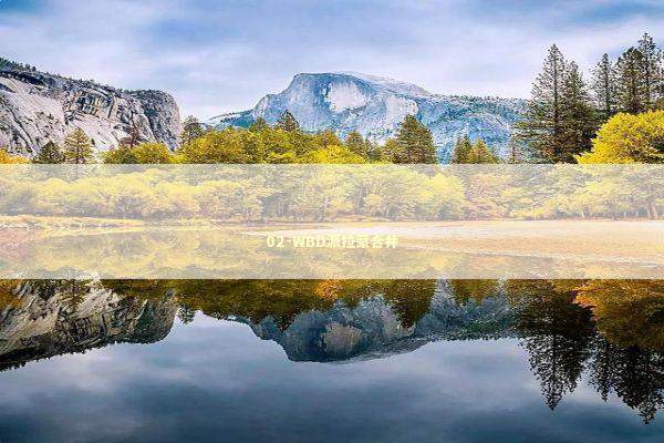 02-WBD派拉蒙合并