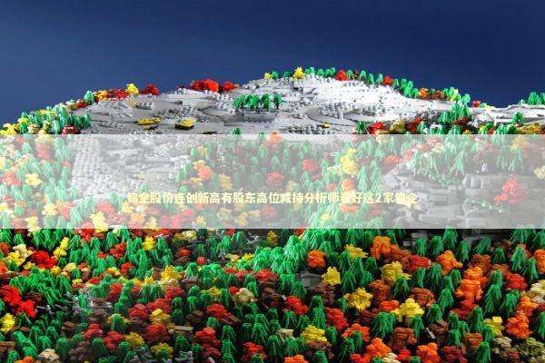 钨企股价连创新高有股东高位减持分析师看好这2家钨企