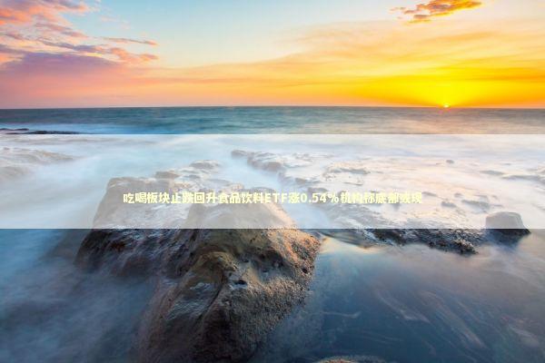 吃喝板块止跌回升食品饮料ETF涨0.54%机构称底部或现