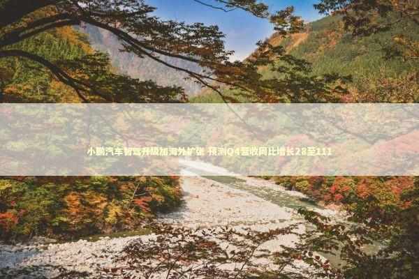 小鹏汽车智驾升级加海外扩张 预测Q4营收同比增长28至111