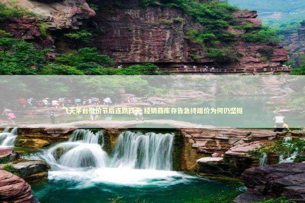 飞天茅台批价节后连跌四天 经销商库存告急终端价为何仍坚挺