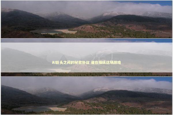 AI巨头之间的秘密协议 谁在操纵这场游戏