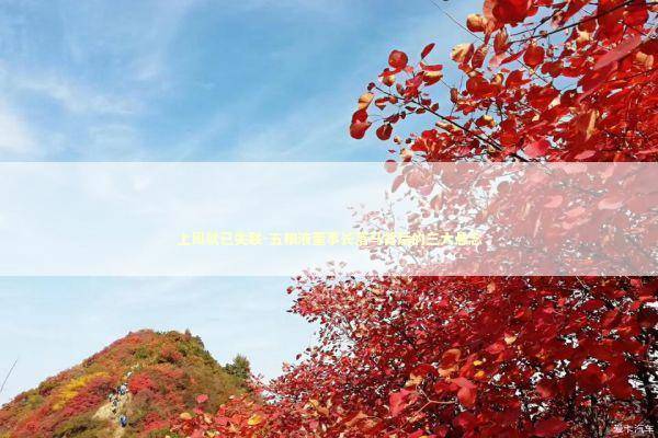 上周就已失联-五粮液董事长落马背后的三大悬念