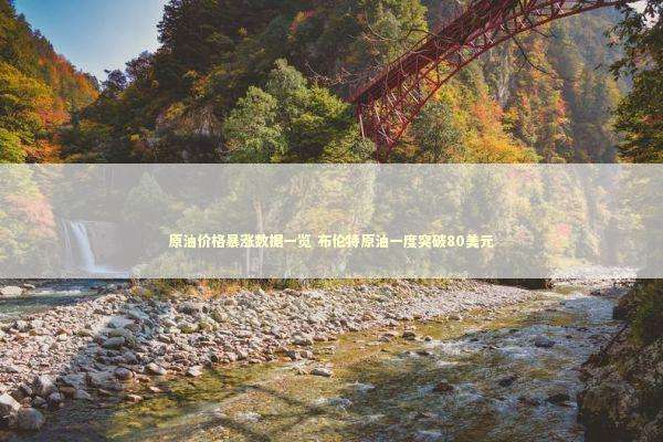 原油价格暴涨数据一览 布伦特原油一度突破80美元