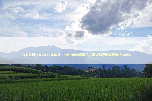 19家公司公布2025年年报：5家业绩增幅翻倍，横店影视增幅最大达265%