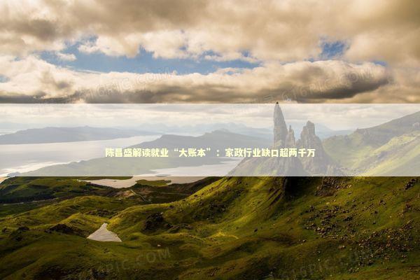 陈昌盛解读就业“大账本”：家政行业缺口超两千万