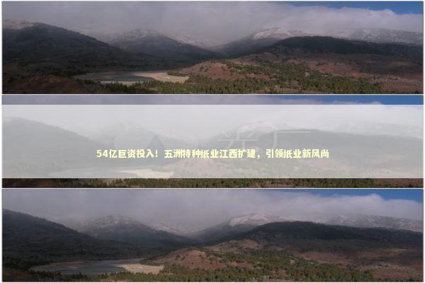 54亿巨资投入！五洲特种纸业江西扩建，引领纸业新风尚