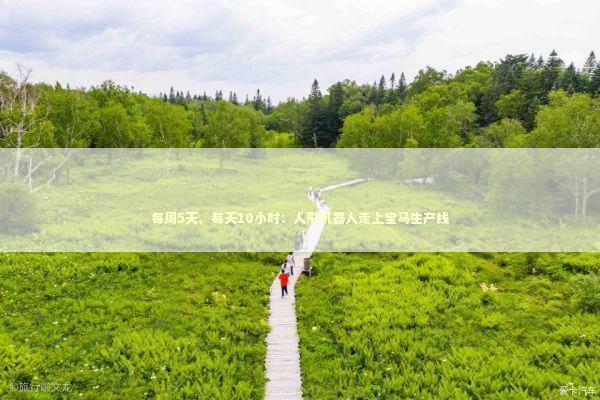 每周5天、每天10小时：人形机器人走上宝马生产线