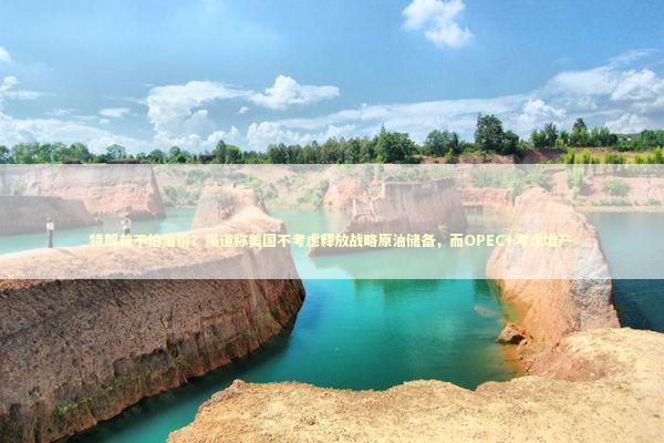 特朗普不怕油价？报道称美国不考虑释放战略原油储备，而OPEC+考虑增产