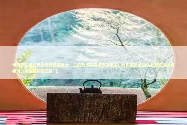 伊朗称陆军总司令没有遇袭身亡，总统及多名高级官员平安；首都德黑兰街头出现交通拥堵状况，加油站排起长队_1